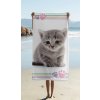 Bavlněná froté osuška 70x140 cm - Kitten "Colour"2