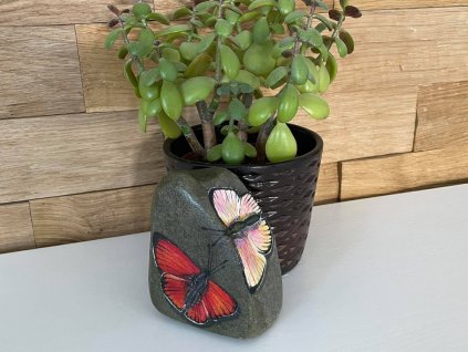 motyli cerveny a bily 1024x768 1