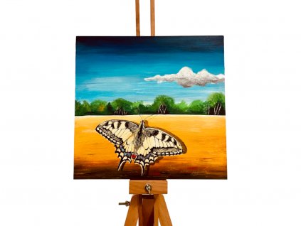 policka s motylem. 1024x768 1