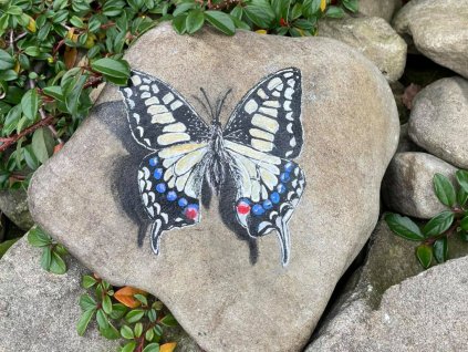 motyl babocka admiral 1024x768 1