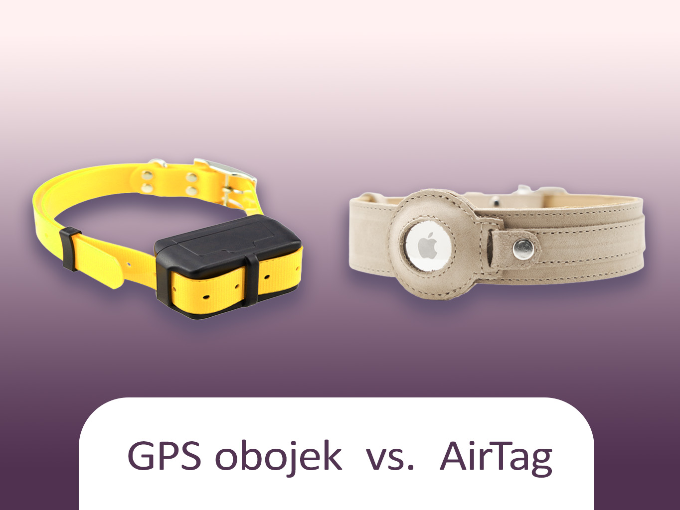 GPS obojky vs. AirTag: Který obojek je vhodnější pro vašeho psa?