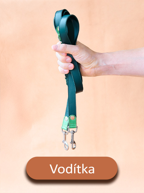 Ruka držící přepínací kožené vodítko