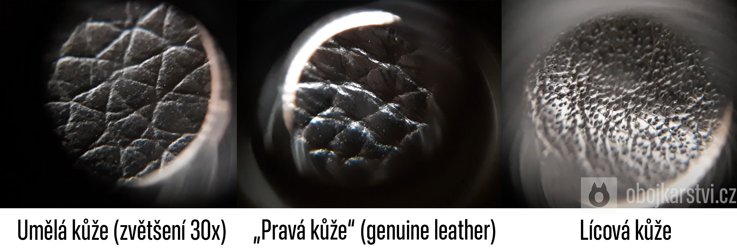 typy-kuze-pod-mikroskopem-zvetseni-30x