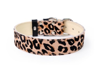 kozeny obojek leopard