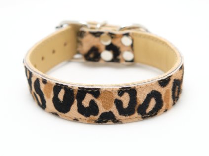 leopard rovny obojek front