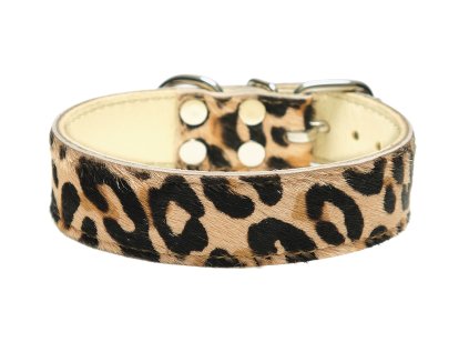 kozeny obojek leopard front