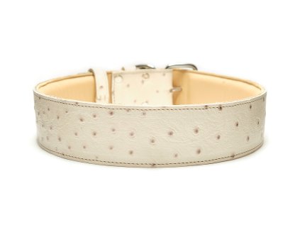 kozeny obojek kremovy pstros front