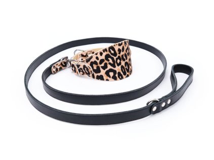 set kozeny obojek pro chrty a voditko leopard