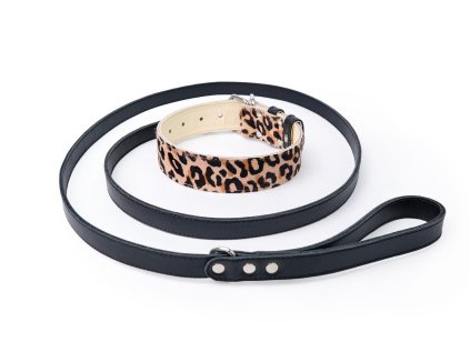 set kozeny obojek a voditko leopard