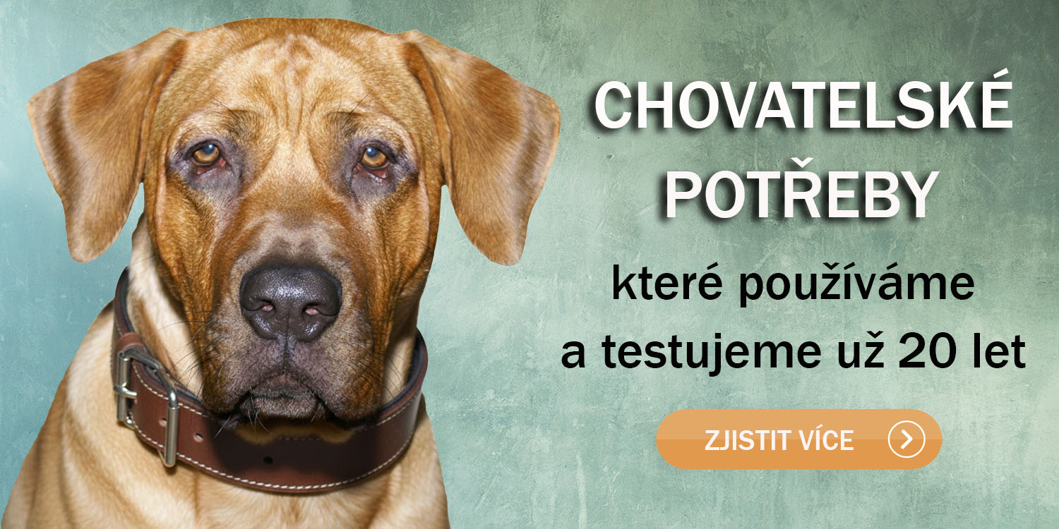 Kynologické potřeby používáme v praxi