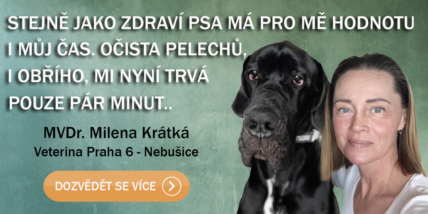 Názor veterináře