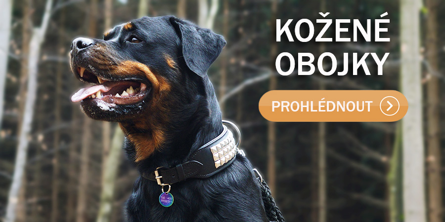 Kožený obojek pro psa