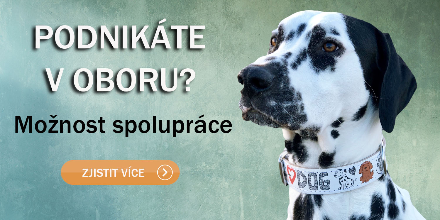 Velkoobchodní spolupráce