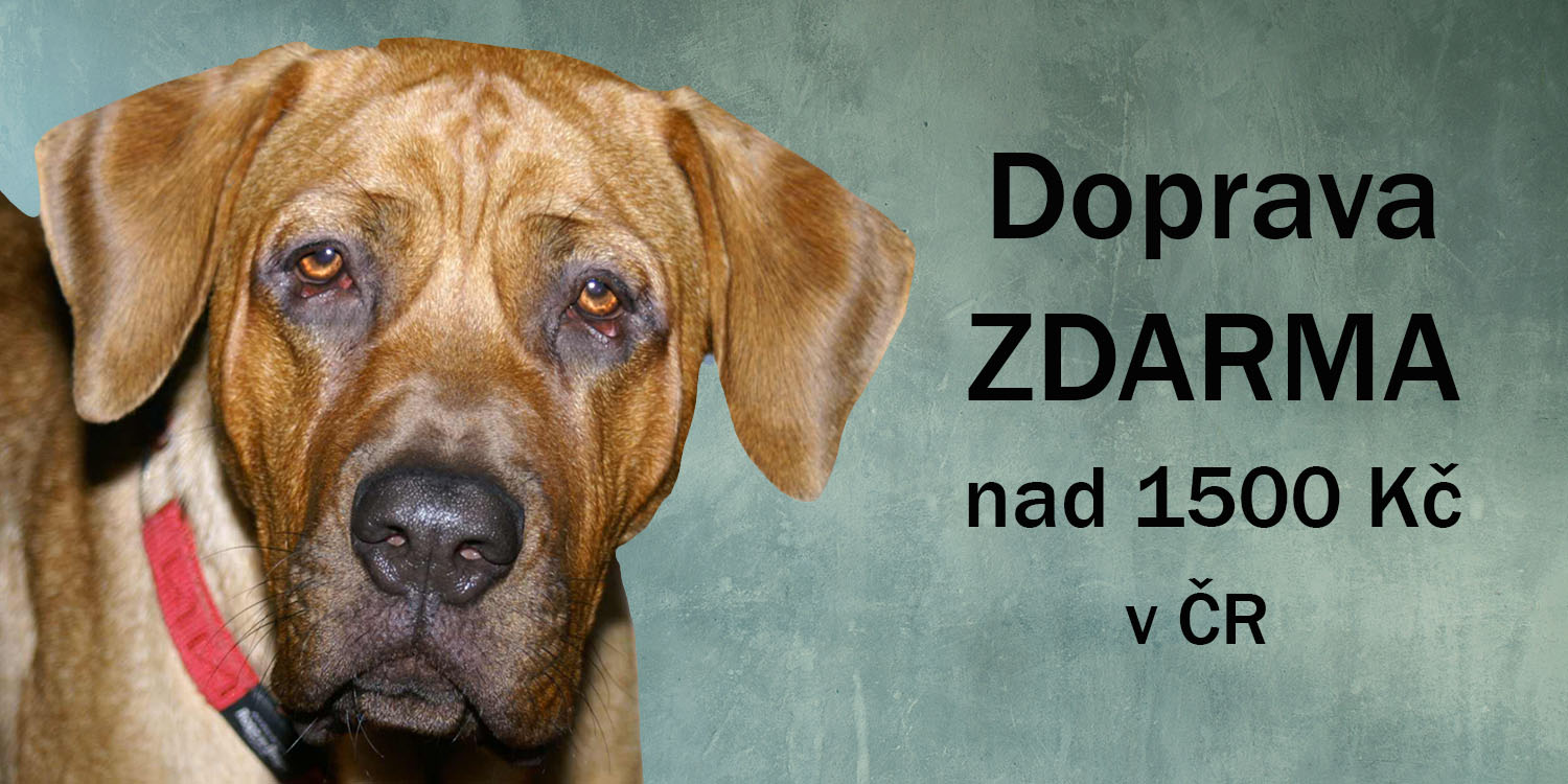 Doprava zdarma