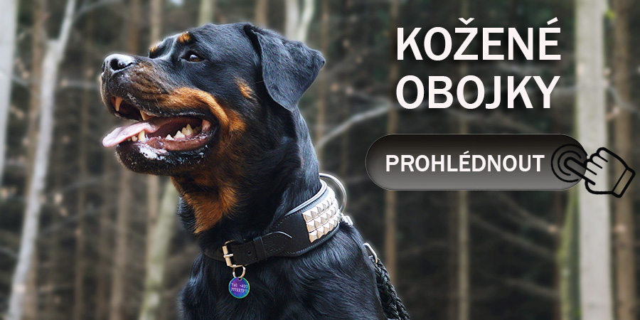 Kožený obojek pro psa