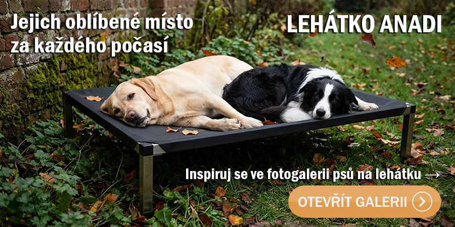 Psi na lehátku Anadi v podzimní zahradě
