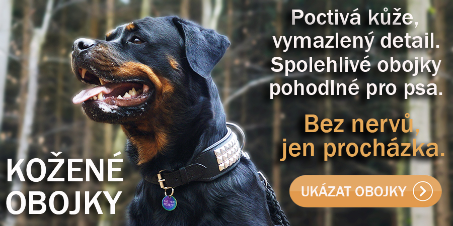 Kožený obojek pro psa