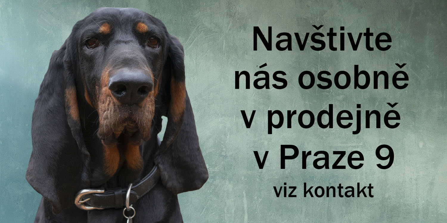Kamenná prodejna