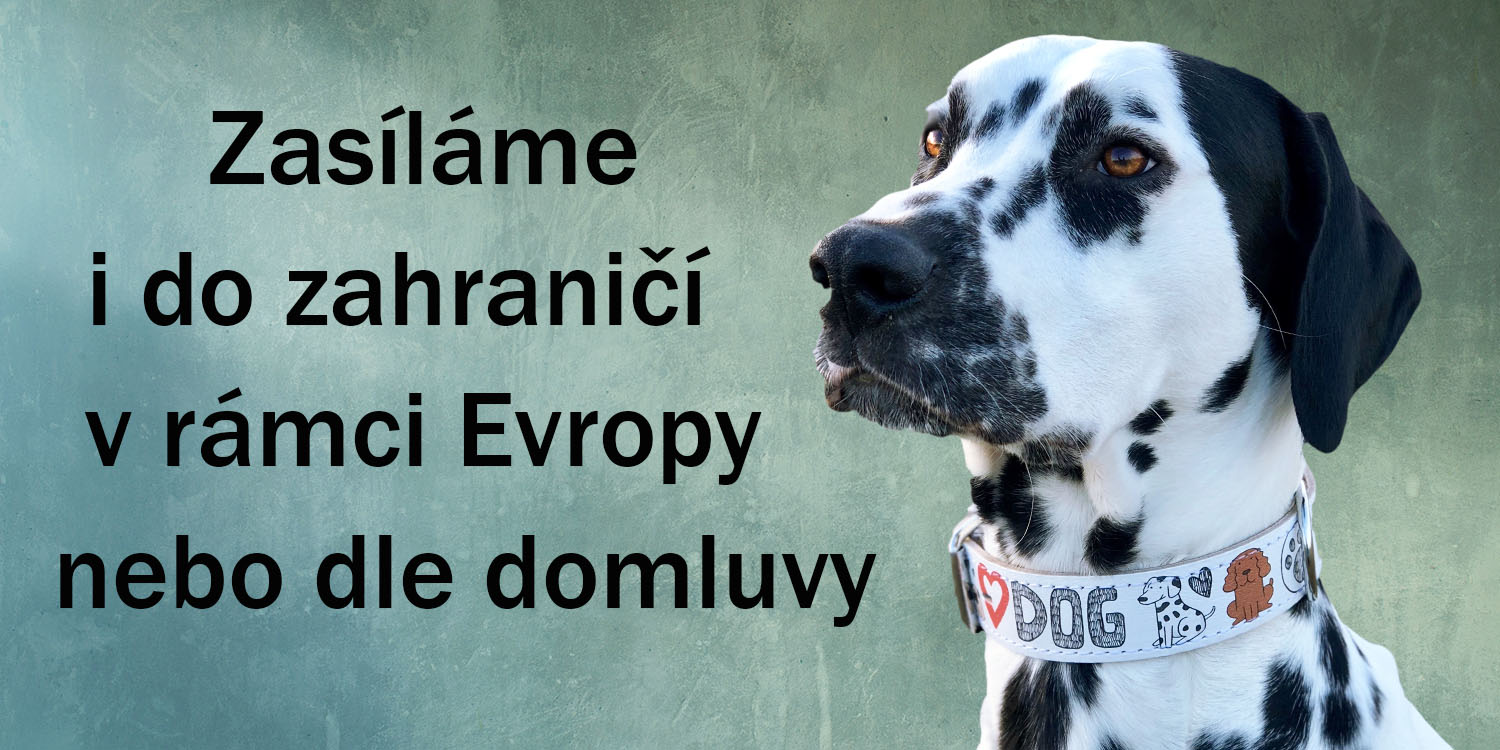 Zasíláme do zahraničí