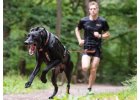 Běh se psem, dogtreking, vodítka a postroje pro psa na běhání
