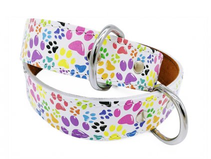 Paw1 w