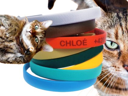 Kocicaky biothanove2