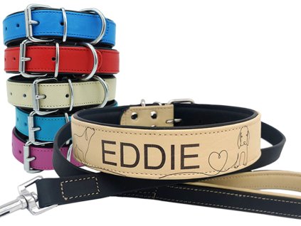 Eddie web barvy