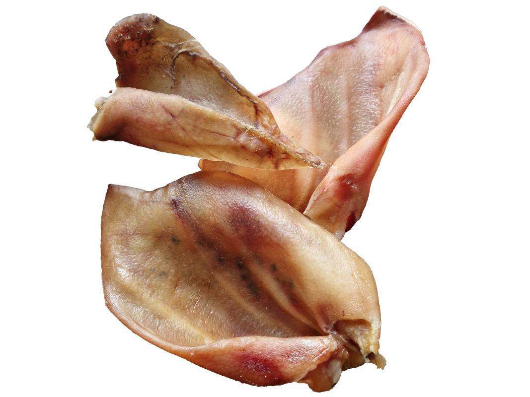 Vepřové ucho ideální při přezubování