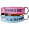 Bernardyni w