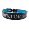 Hector web