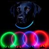 Reedog Full Light USB dobíjecí svítící obojek, 5 barev
