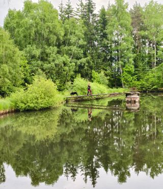 Ideální počasí na výlet se psem 🌥️ #obojkycz #outdoors #vylet #sepsem #karlovarsko