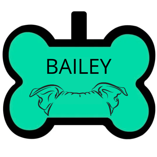 BAILEY
