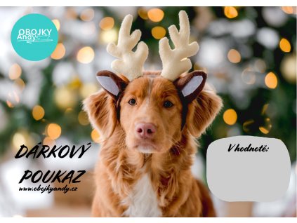 DÁRKOVÝ POUKAZ
