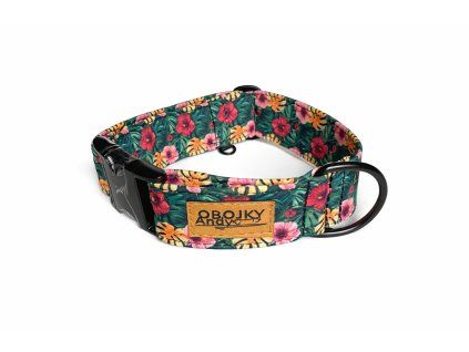 AE5AC4C8 3568 4917 9639 81826A12D9D6