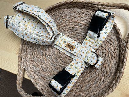 Postroj Pixie’s bloom