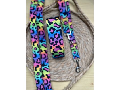 Obojek Colourful Leopard