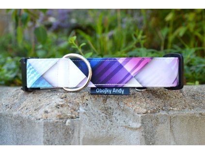 Obojek Fialové kostky