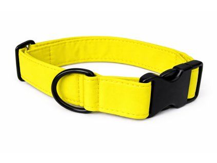 FECBEF4C BF3C 4996 8148 3C961445C12B