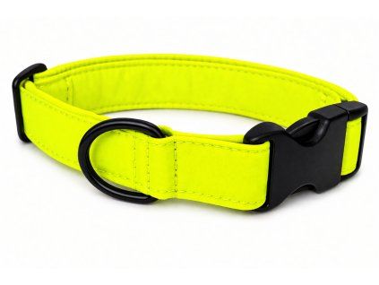 36BDADFC 7785 4874 9E9D 1FBC26BCCDC5