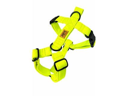 9EF90807 82A9 43BD B2FE A85863E078E6