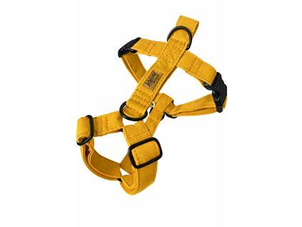 6966647A 872D 4090 973F 48ADFE76E704