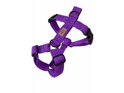 133049A6 9841 495C 9C30 C37962A295BA