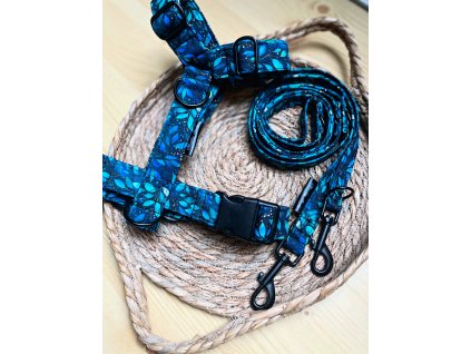 691C42B8 9E61 4B6B 8467 F9A1151BA50F