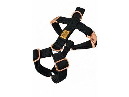 A24B01C2 32E1 4907 9F51 C56D5D8853F0