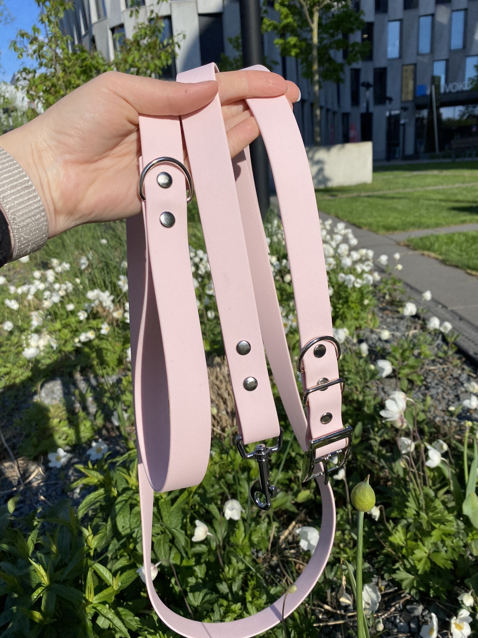 Leash Image