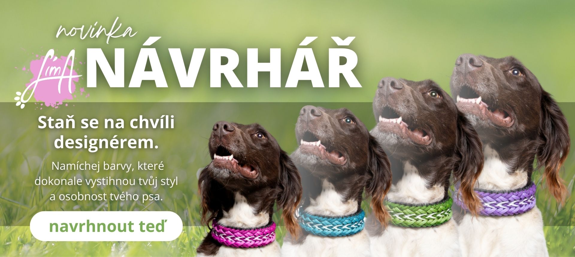 návrhář - můj obojek