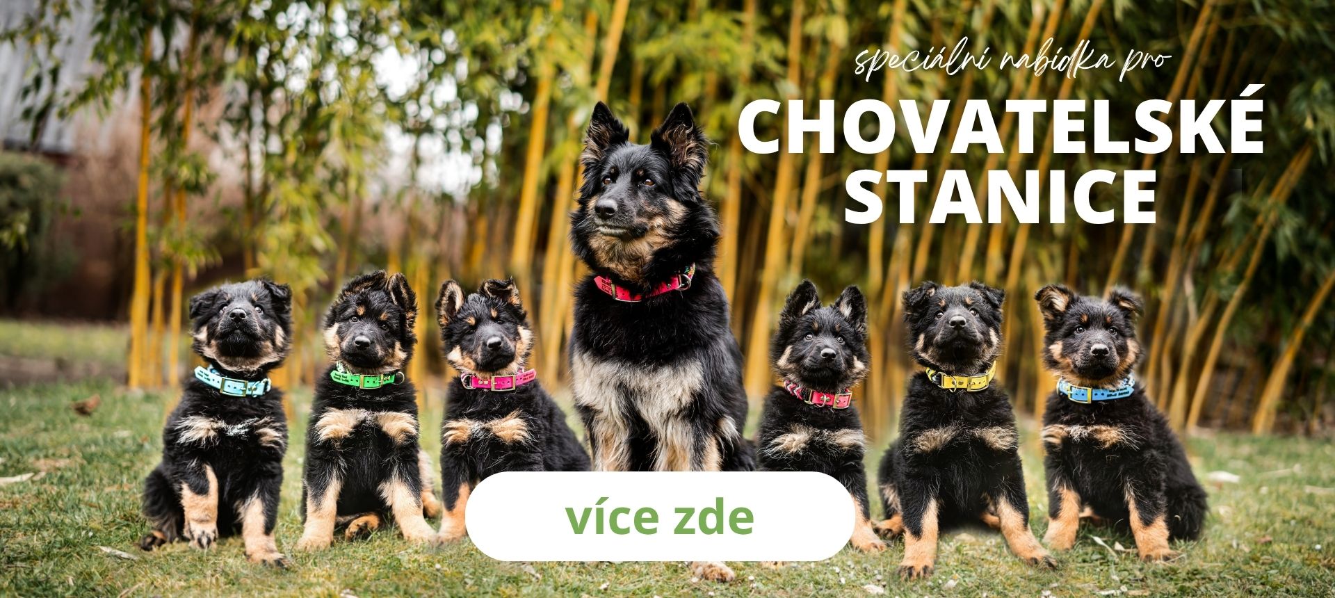 speciální nabídka  pro chovatelské stanice