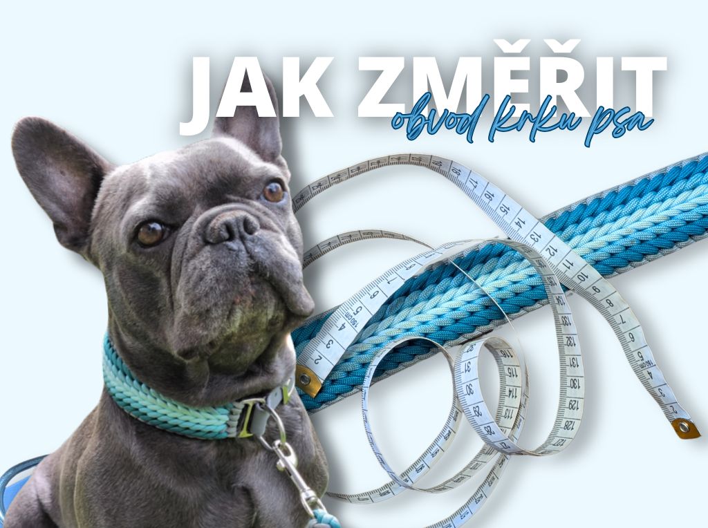 Jak změřit psa