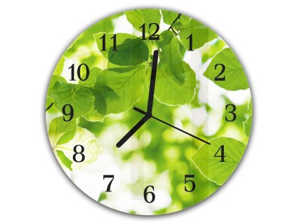 Nástěnné hodiny kulaté pr.30cm detail větev listí buku (Materiál kalené sklo)
